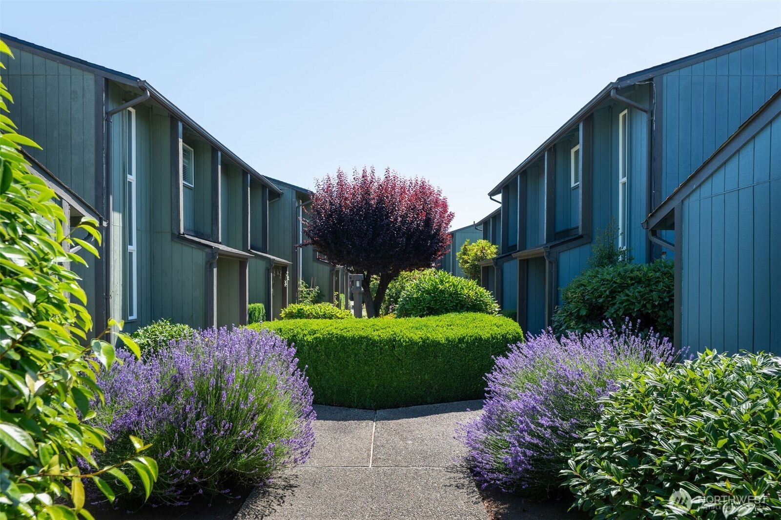 Property Photo:  1801  M Street NE 1807  WA 98002 
