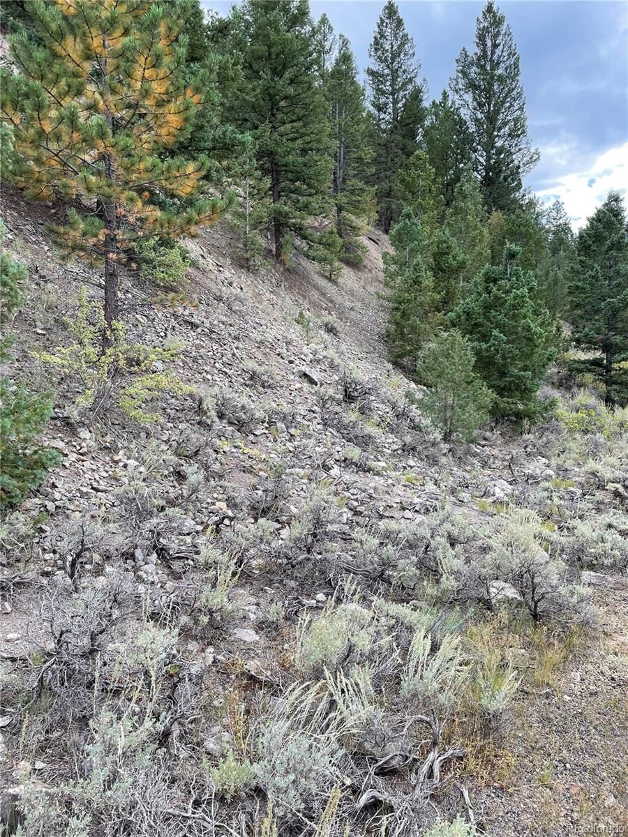 Property Photo: 1577 Mears Lane CO 81201
