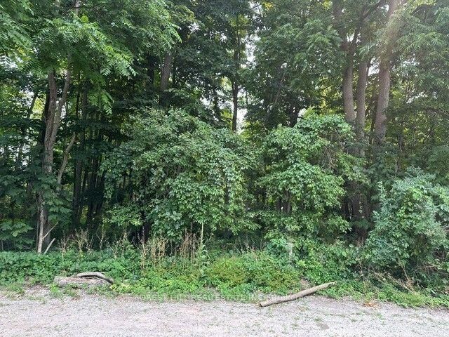 Property Photo:  2728 25th Side Road  ON L9S 3T5 