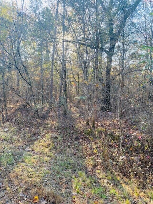 Property Photo:  Unk Black Gum Lane  AR 71953 