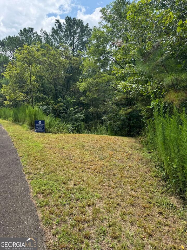 Property Photo:  Lts 43 &Amp 44 Reece Mountain Road  GA 30536 