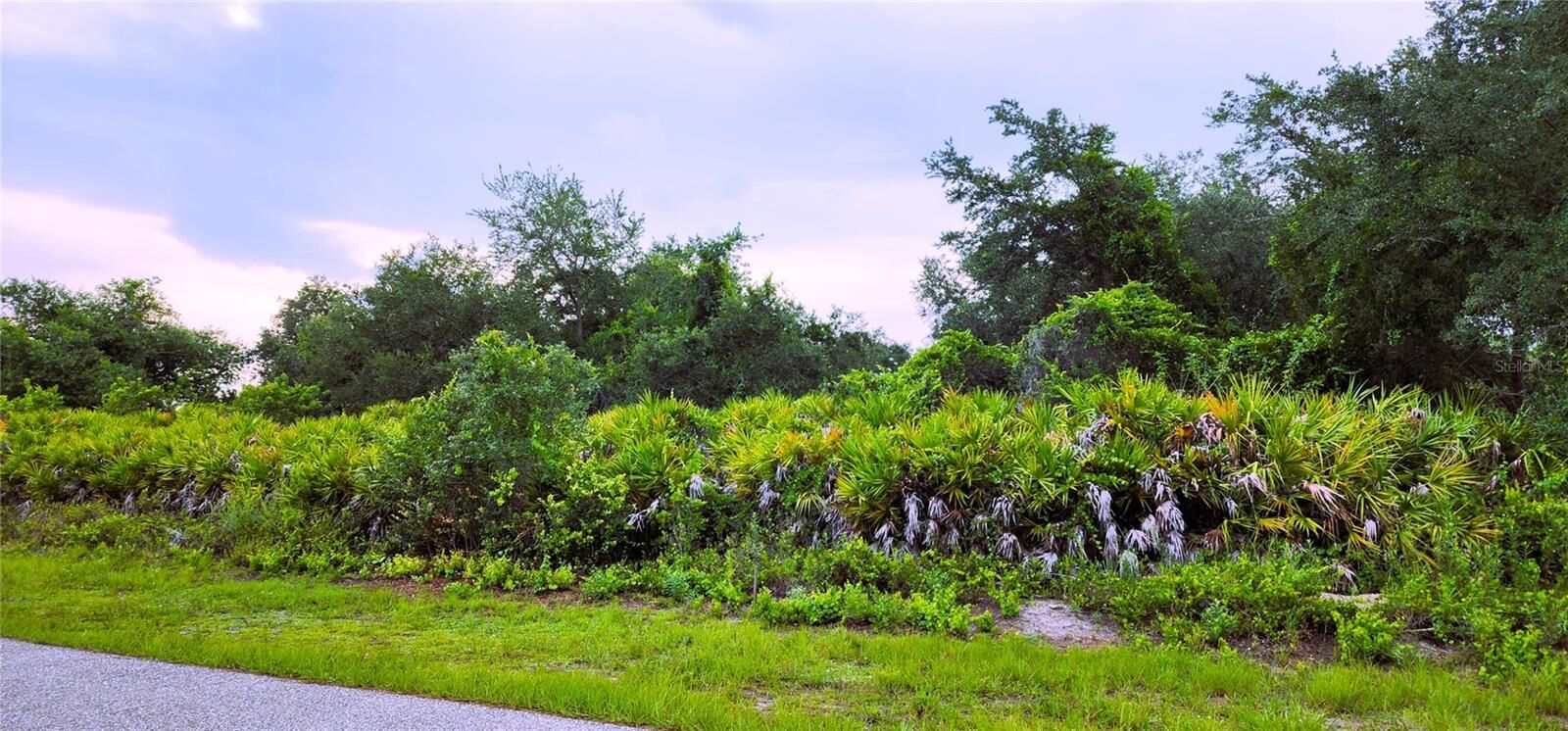 Property Photo: 12242 Bacchus Road FL 33981