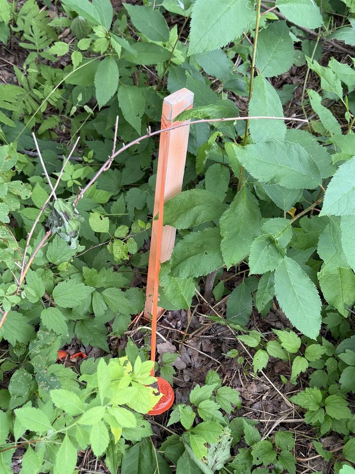 Property Photo:  Lot 2026 Perotte Road  NS B0S 1A0 