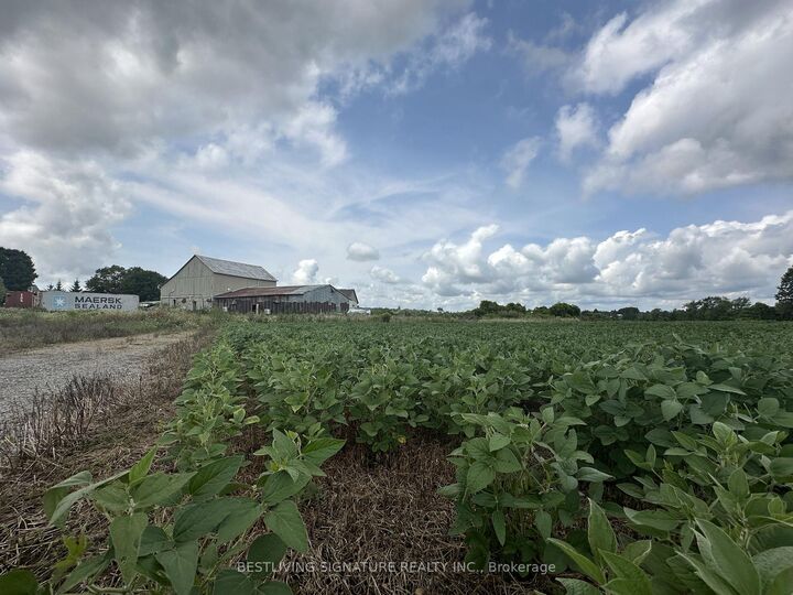 Property Photo: 3752 Elm Tree Road ON K0M 2B0