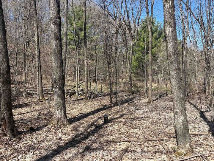 Property Photo:  Lot 2 Sweetfern Lane  ON K0H 1H0 