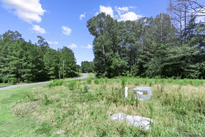 Property Photo: Lots 59 & 60 Oakley Ln LA 70775