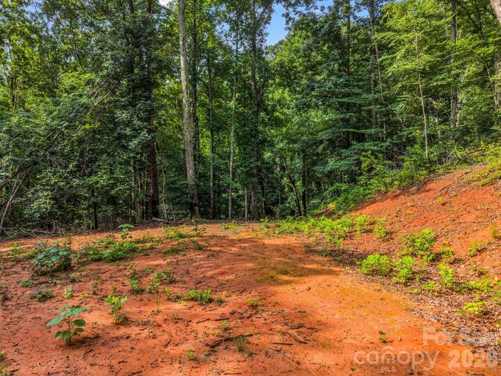 Property Photo:  00 Kema Road 6  NC 28778 