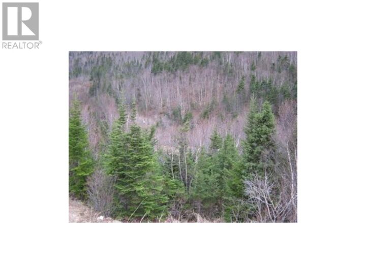 Property Photo:  24 Woodmans Road  NL A2H 5X6 