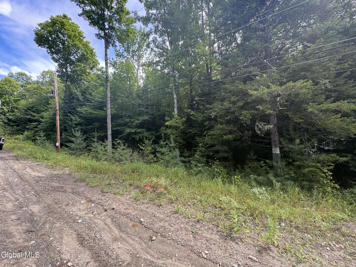 Property Photo: L52 Iroquois Trail NY 12853