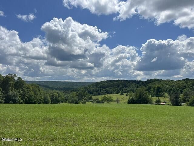 Property Photo: 359 Baldwin Road NY 12175
