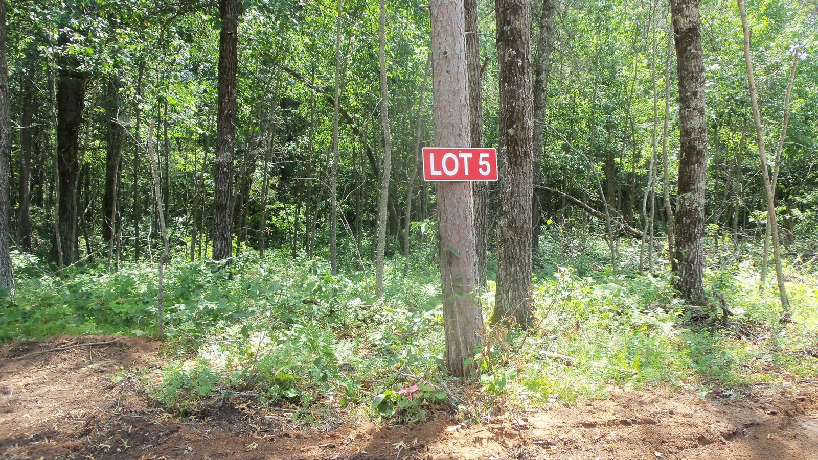 Property Photo:  Lot 5 Brch Tree Trl  WI 54801 