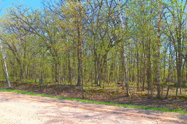 Property Photo:  Tbd 392 Street  MN 56438 