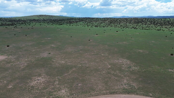 Property Photo: Lot 169 Deer Circle NM 87829