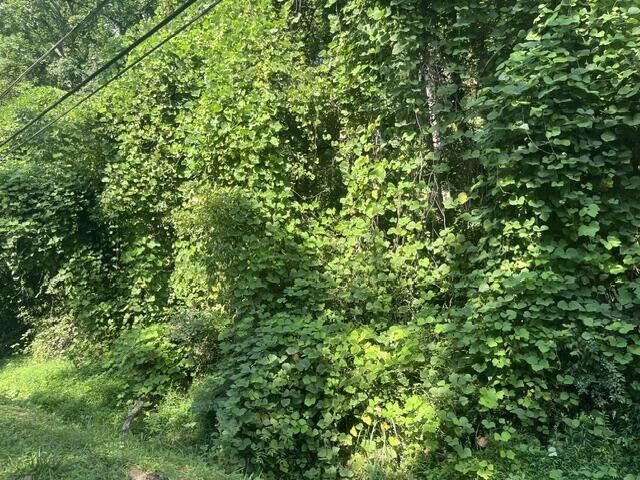 Property Photo:  8815 Gann Road  TN 37379 