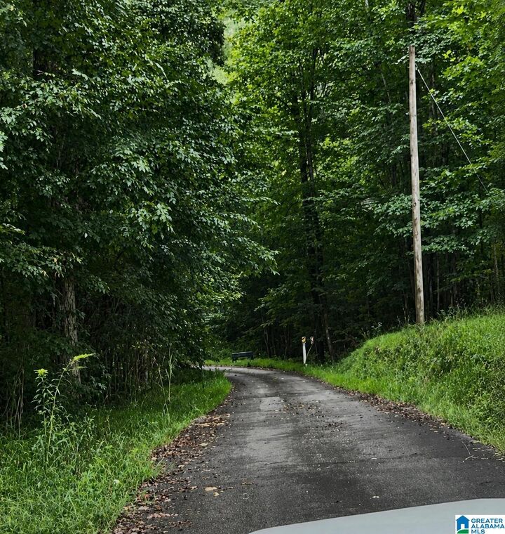 Property Photo: 18818 US Highway 411 18818 AL 35146