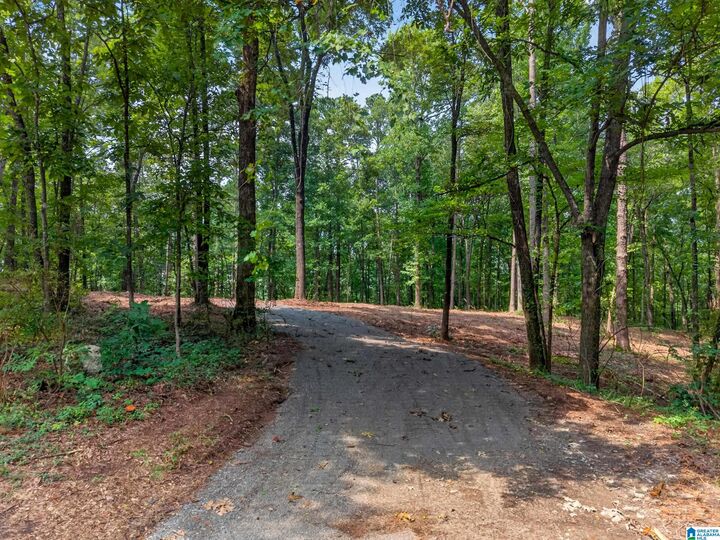 Property Photo: 0 Hilltop Street 5 AL 35125