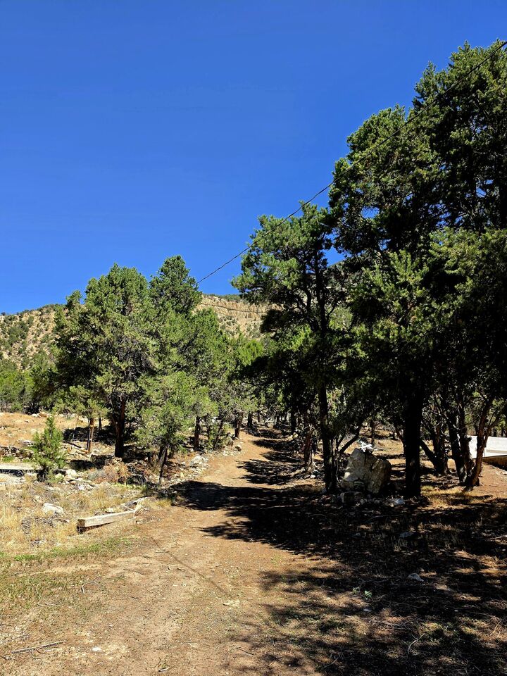 Property Photo:  