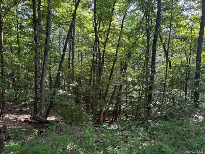 Property Photo:  Crescent Road  NY 12076 