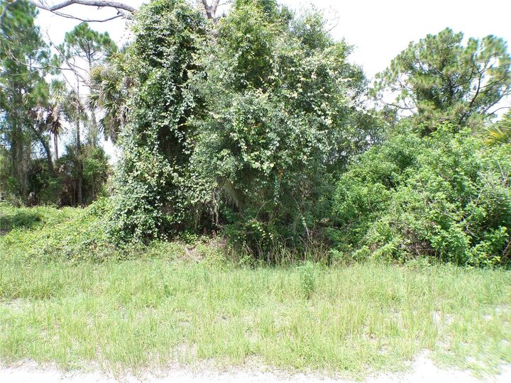 Property Photo:  Constitution Drive  FL 34291 