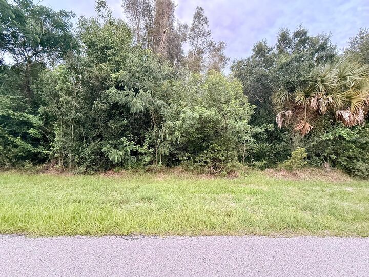 Property Photo: 143 Vanilla Circle FL 33982