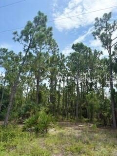 Property Photo:  13214 Sulky Drive  FL 33955 