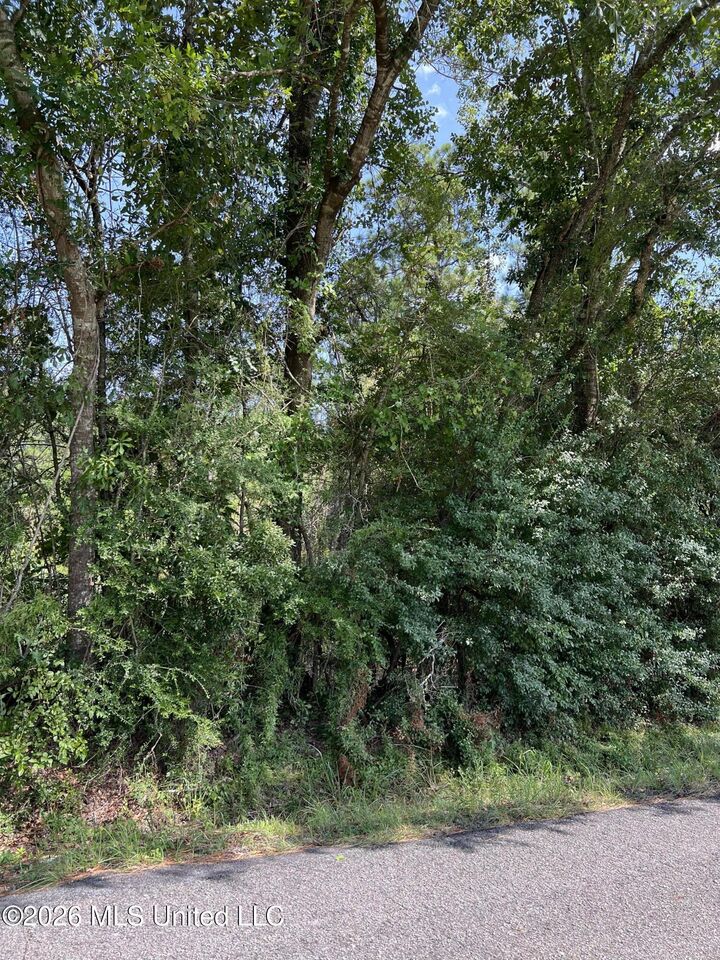 Property Photo:  Mennonite Road  MS 39503 