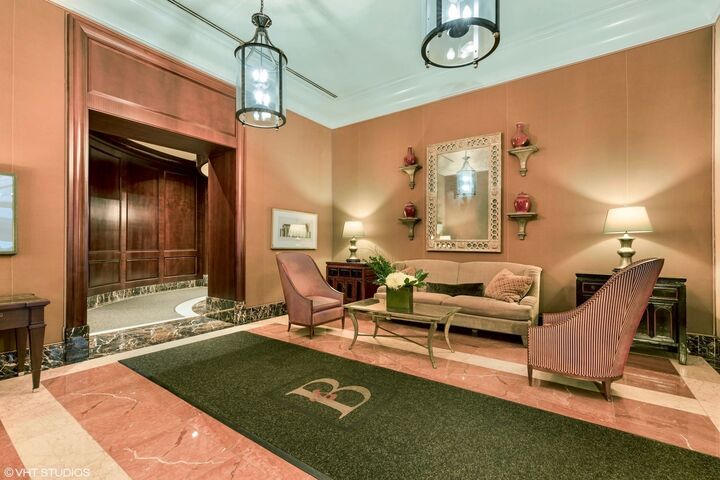 Property Photo: 57 E Delaware Place 3905 IL 60611