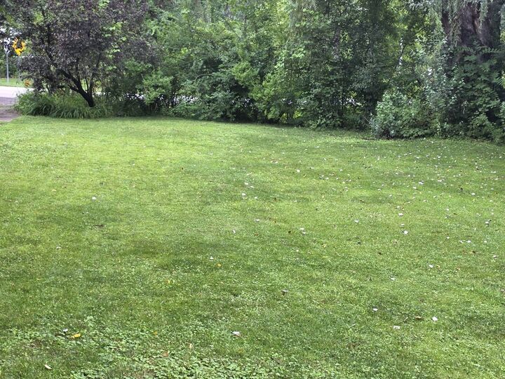 Property Photo:  26216 N Elmwood Avenue  IL 60060 