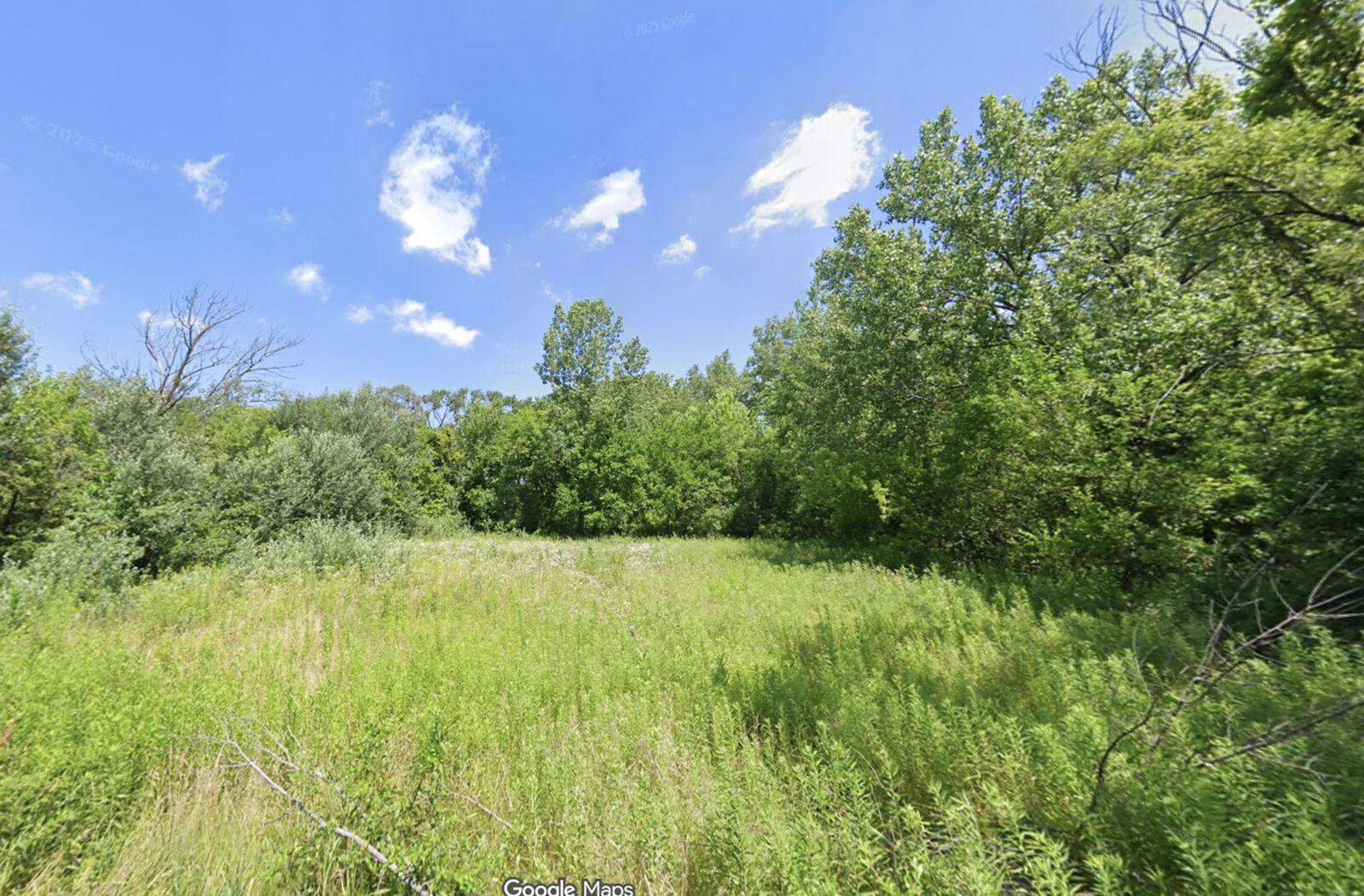 Property Photo: 720 E 134th Place IL 60827