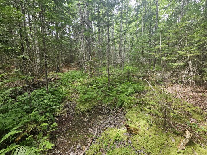 Property Photo: M39, L30d Jay Carter Road ME 04614