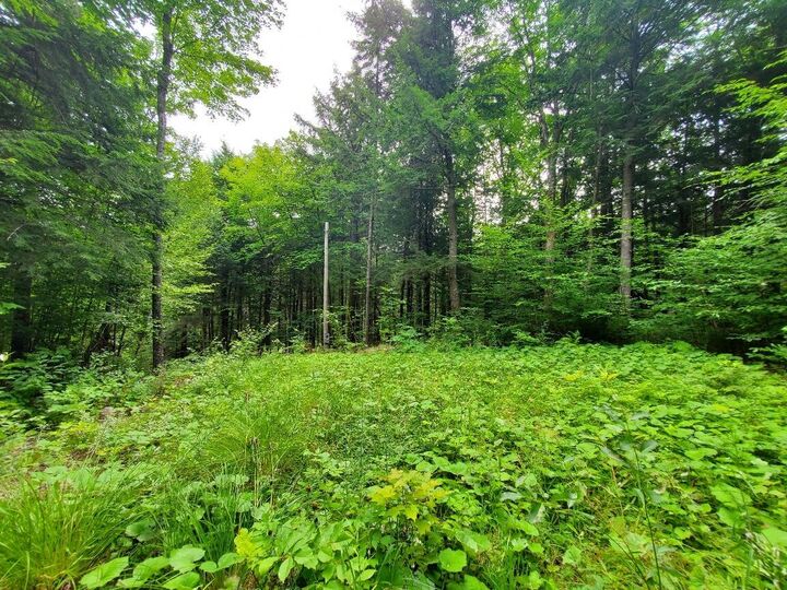 Property Photo: Map18lot27 Sandy Beach Road ME 04424