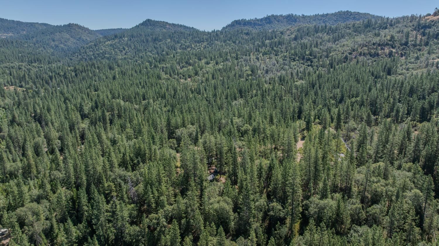 Property Photo:  15736 Armstrong Road  CA 95246 