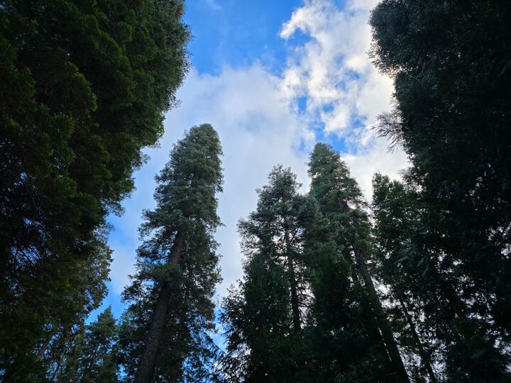 Property Photo:  0 Blair Road  CA 95726 