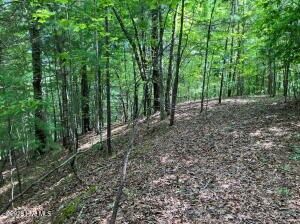Property Photo: Lot 11 Green Cove Circle NC 28906