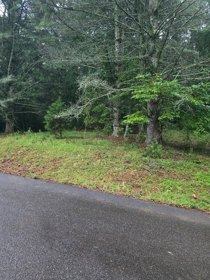 Property Photo:  Lot B & W Ranch Road  GA 30512 