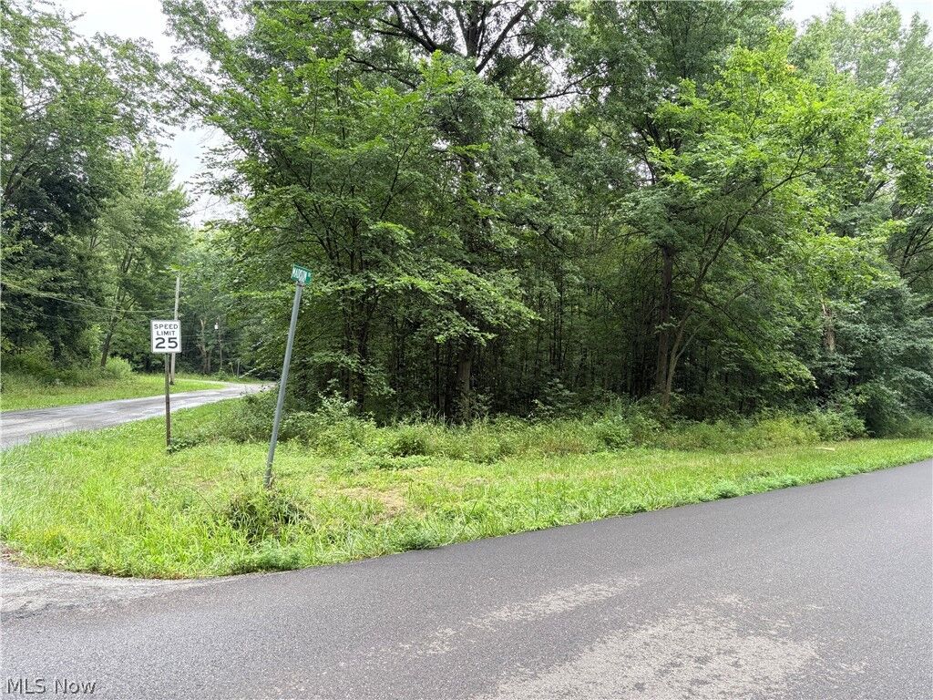 Property Photo:  Bon Air Avenue NE  OH 44601 