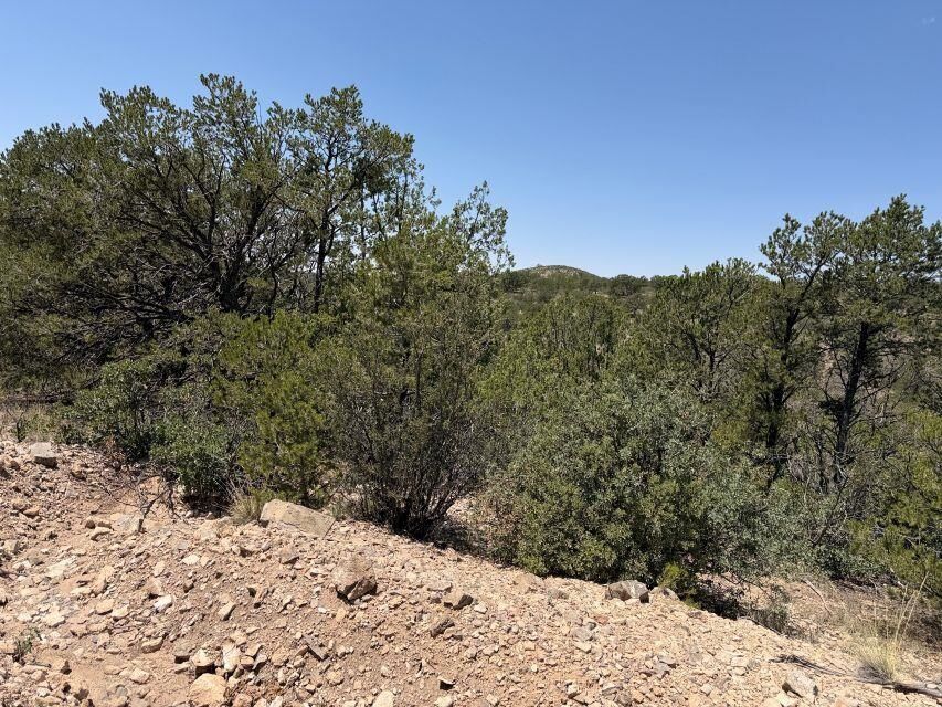 Property Photo: Canyon Dr NM 88350