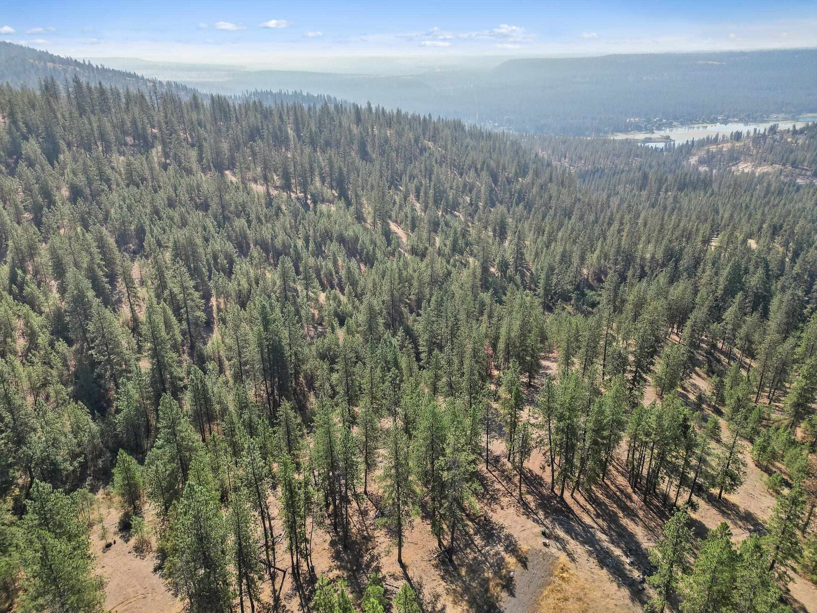 Property Photo:  Nka Lower Weaver Way Lot 3 Of Lot 7  WA 99006 