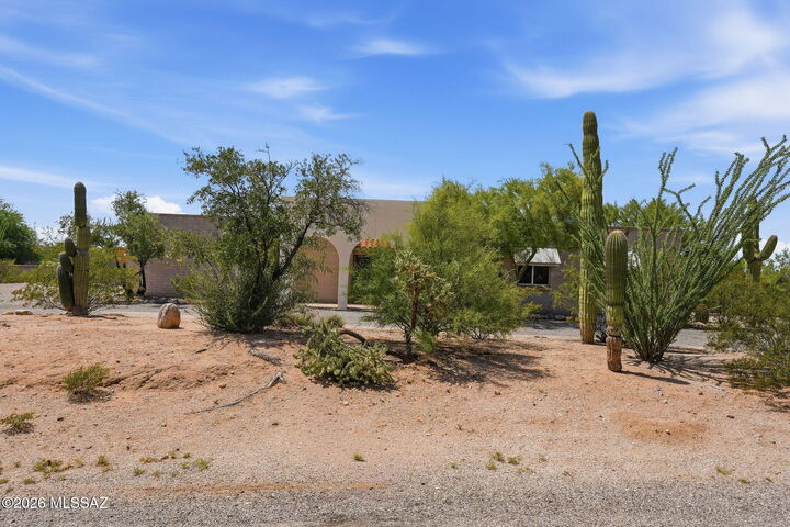 Property Photo:  6741 N Pomona Road  AZ 85704 