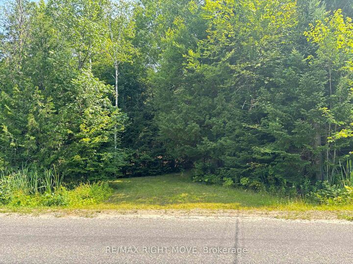 Property Photo:  50 Sunrise Drive  ON P0A 1M0 