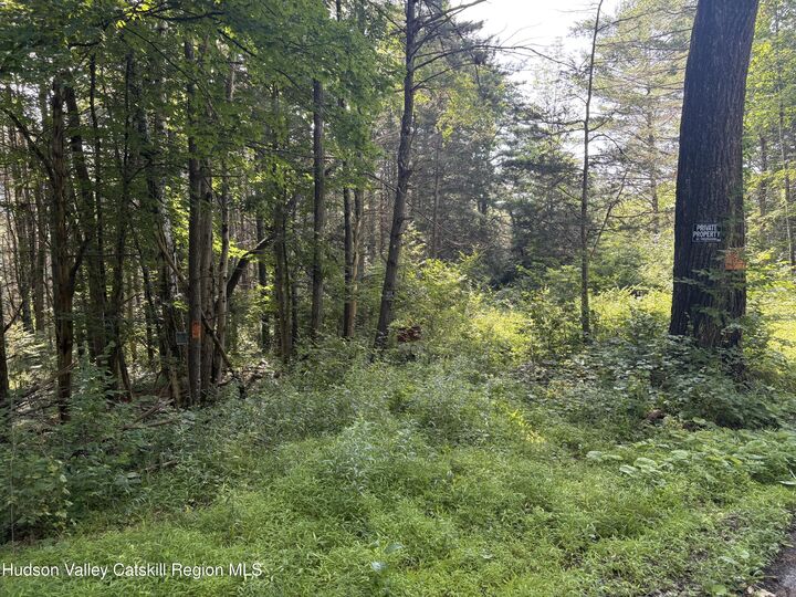 Property Photo:  Tbd Cresent  NY 12076 