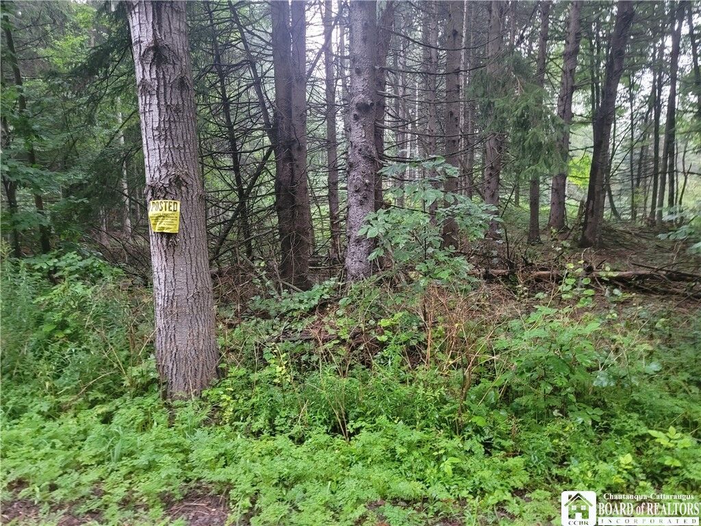 Property Photo:  0 Wade Hill Road  NY 14740 