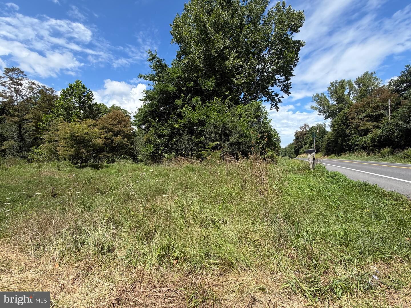 Property Photo:  Laurel Dale Road  WV 26743 