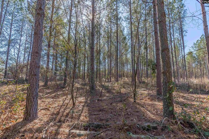 Property Photo:  Lot #4 Fairview 008200-07-010  SC 29006 