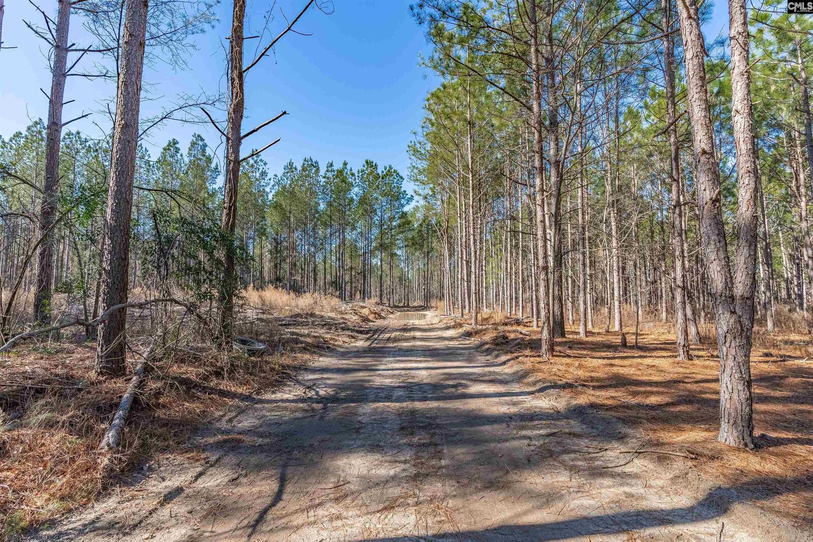 Property Photo:  Lot 2 Fairview 008200-07-010  SC 29006 