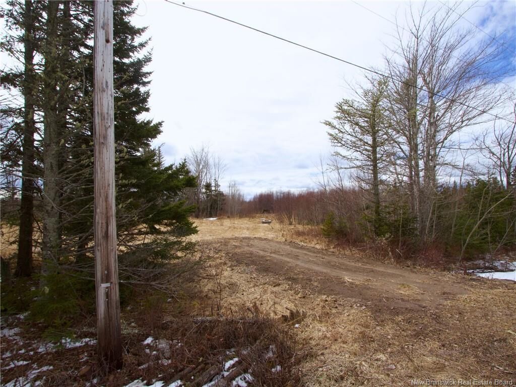 Property Photo:  Lot Moore Road  NB E4M 3Y1 