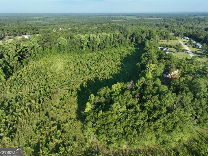 Property Photo: 0 Ben Grady Collins Road GA 30450