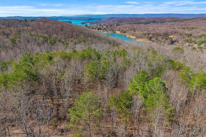 Property Photo: 0 Ware Farms Road TN 37381