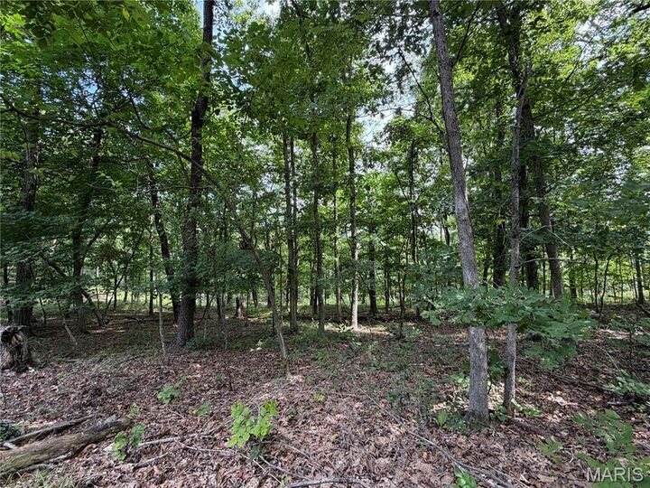 Property Photo:  #305 Madison 410  MO 63645 
