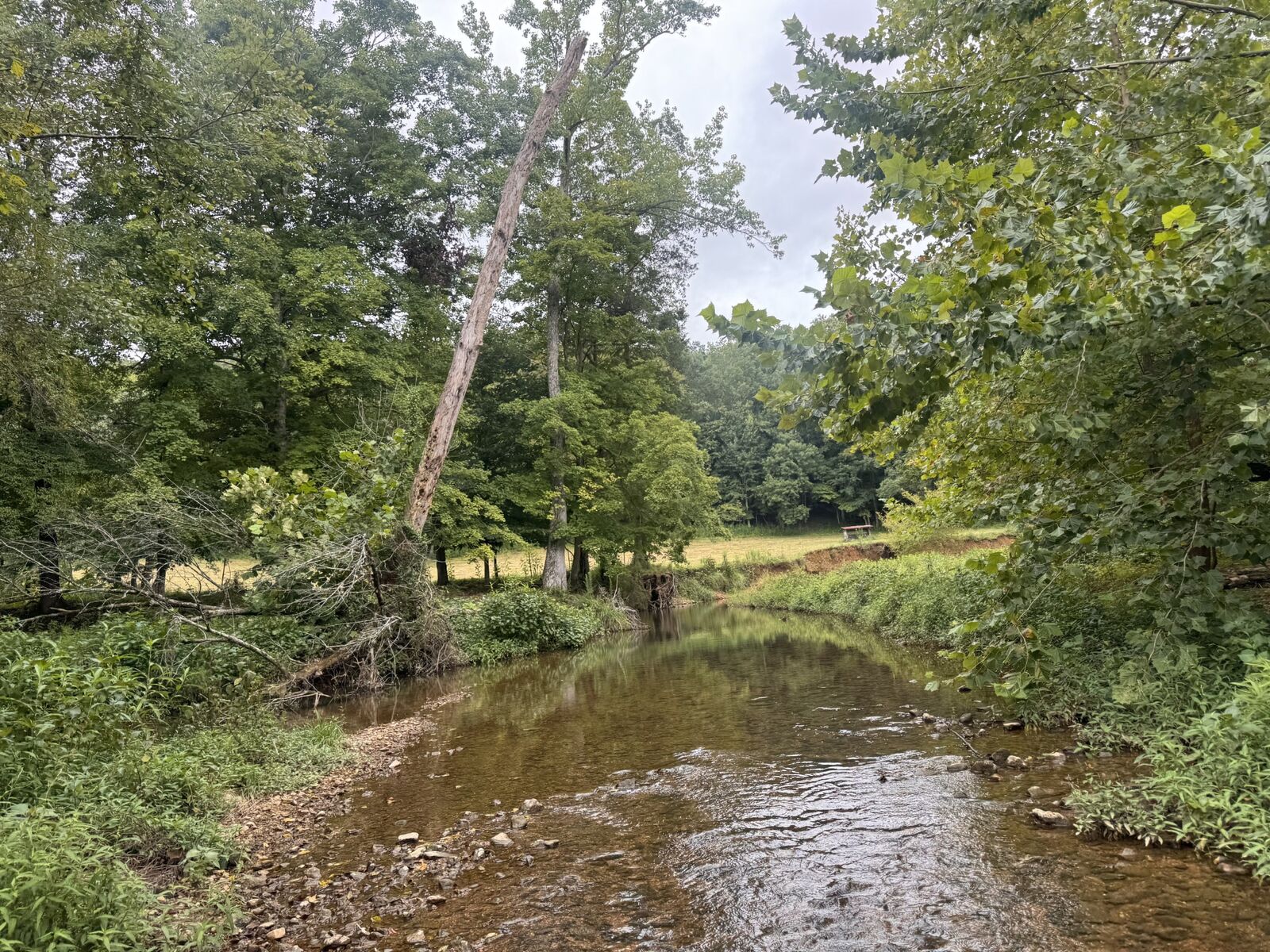 Property Photo: 0 Upper Standing Rock Rd TN 37058